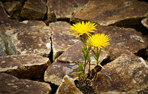 Création de tes objectifs